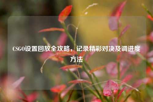 CSGO设置回放全攻略，记录精彩对决及调进度方法