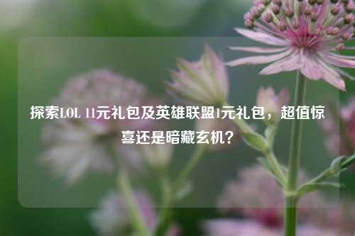 探索LOL 11元礼包及英雄联盟1元礼包,超值惊喜还是暗藏玄机?