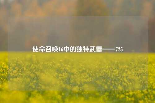 使命召唤16中的独特武器——725