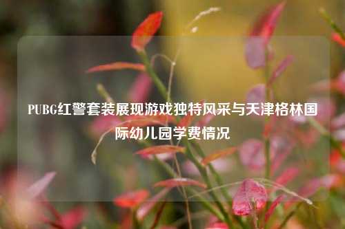PUBG红警套装展现游戏独特风采与天津格林国际幼儿园学费情况