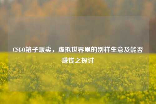 CSGO箱子贩卖,虚拟世界里的别样生意及能否赚钱之探讨
