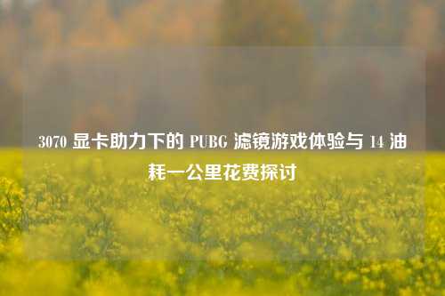 3070 显卡助力下的 PUBG 滤镜游戏体验与 14 油耗一公里花费探讨
