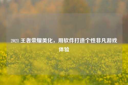 2021 王者荣耀美化,用软件打造个性非凡游戏体验
