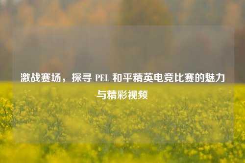 激战赛场，探寻 PEL 和平精英电竞比赛的魅力与精彩视频