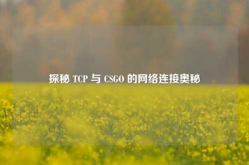探秘 TCP 与 CSGO 的网络连接奥秘