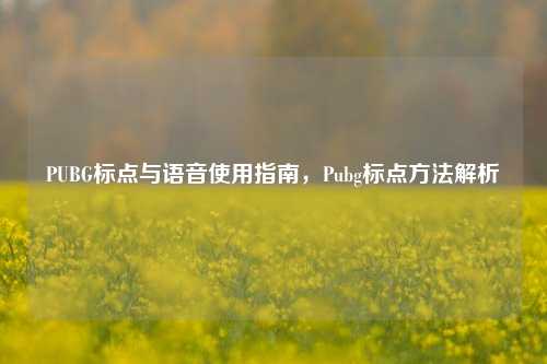 PUBG标点与语音使用指南,Pubg标点方法解析