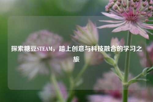 探索糖豆STEAM,踏上创意与科技融合的学习之旅