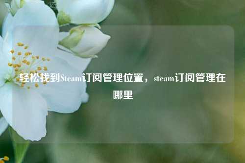 轻松找到Steam订阅管理位置,steam订阅管理在哪里