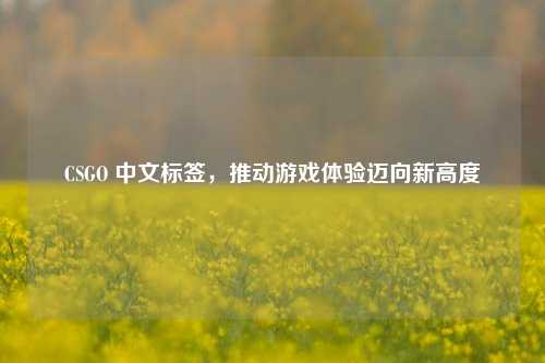 CSGO 中文标签,推动游戏体验迈向新高度