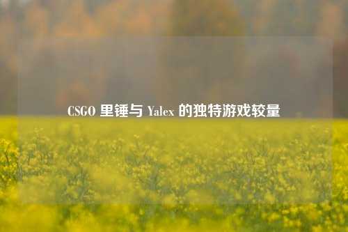 CSGO 里锤与 Yalex 的独特游戏较量
