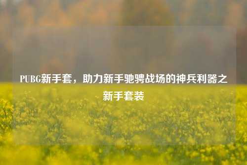 PUBG新手套,助力新手驰骋战场的神兵利器之新手套装