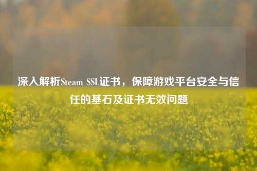 深入解析Steam SSL证书,保障游戏平台安全与信任的基石及证书无效问题