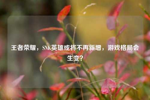 王者荣耀,SNK英雄或将不再新增,游戏格局会生变?
