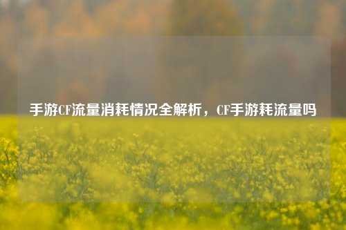 手游CF流量消耗情况全解析，CF手游耗流量吗