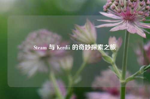 Steam 与 Kerdii 的奇妙探索之旅
