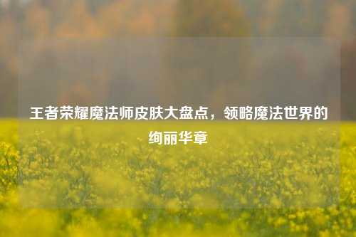 王者荣耀魔法师皮肤大盘点,领略魔法世界的绚丽华章