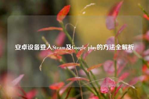 安卓设备登入Steam及Google play的方法全解析