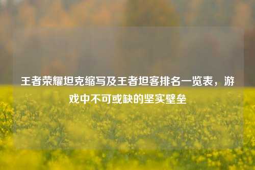 王者荣耀坦克缩写及王者坦客排名一览表,游戏中不可或缺的坚实壁垒