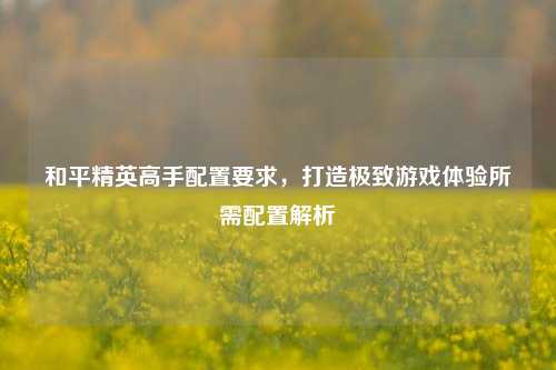 和平精英高手配置要求，打造极致游戏体验所需配置解析