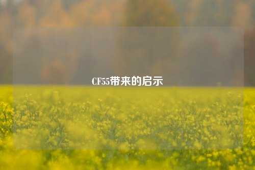 CF55带来的启示