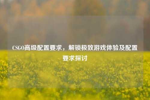 CSGO高级配置要求，解锁极致游戏体验及配置要求探讨