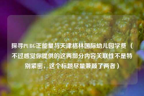 探寻PUBG正能量与天津格林国际幼儿园学费 （不过感觉你提供的这两部分内容关联性不是特别紧密，这个标题尽量兼顾了两者）