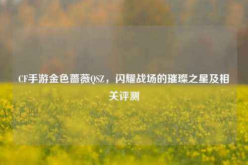 CF手游金色蔷薇QSZ,闪耀战场的璀璨之星及相关评测
