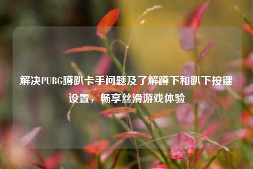 解决PUBG蹲趴卡手问题及了解蹲下和趴下按键设置,畅享丝滑游戏体验