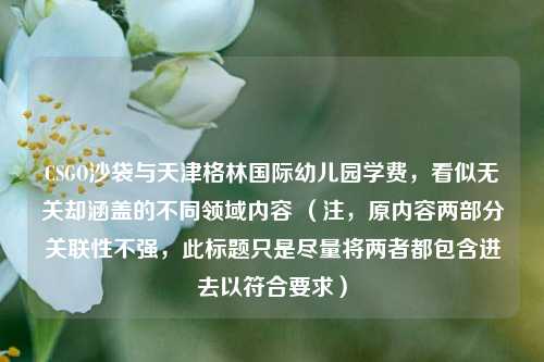 CSGO沙袋与天津格林国际幼儿园学费，看似无关却涵盖的不同领域内容 （注，原内容两部分关联性不强，此标题只是尽量将两者都包含进去以符合要求）