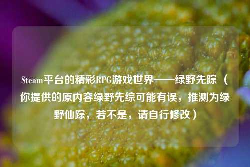 Steam平台的精彩RPG游戏世界——绿野先踪 (你提供的原内容绿野先综可能有误,推测为绿野仙踪,若不是,请自行修改)