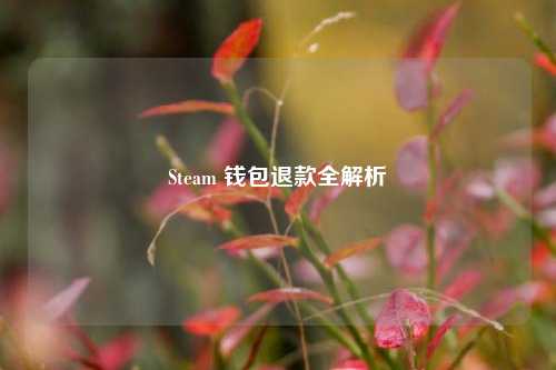 Steam 钱包退款全解析