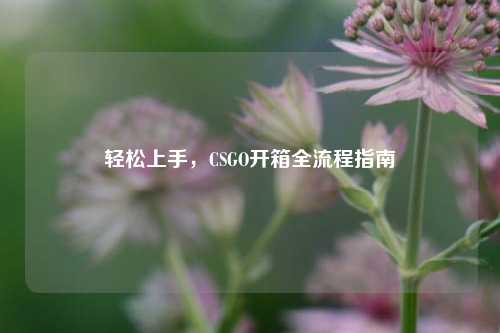 轻松上手,CSGO开箱全流程指南