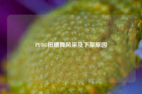PUBG扭腰舞风采及下架原因