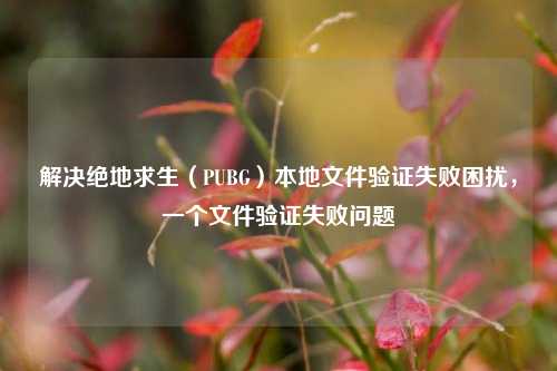 解决绝地求生（PUBG）本地文件验证失败困扰，一个文件验证失败问题