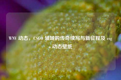 WNV 动态,CSGO 领域的传奇续写与新征程及 csgo 动态壁纸