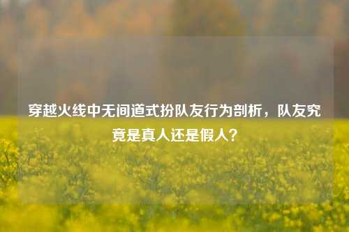 穿越火线中无间道式扮队友行为剖析,队友究竟是真人还是假人?