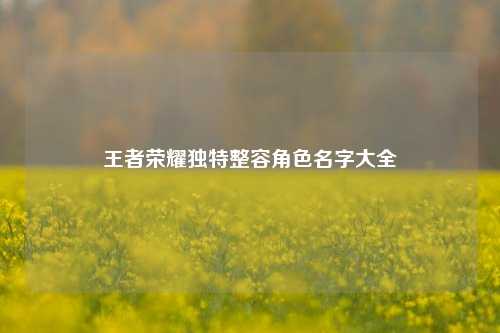 王者荣耀独特整容角色名字大全