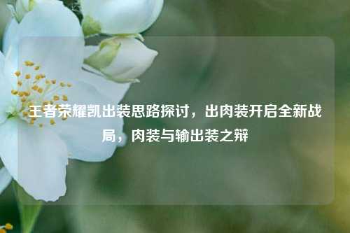 王者荣耀凯出装思路探讨,出肉装开启全新战局,肉装与输出装之辩