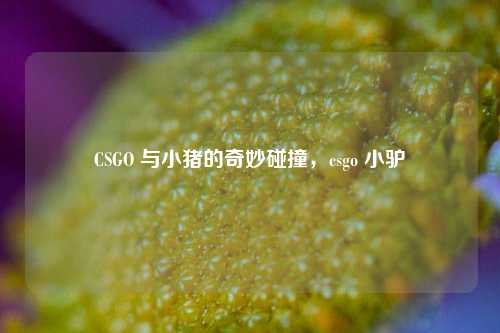 CSGO 与小猪的奇妙碰撞,csgo 小驴