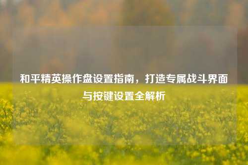 和平精英操作盘设置指南,打造专属战斗界面与按键设置全解析