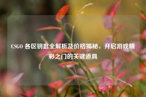 CSGO 各区钥匙全解析及价格揭秘，开启游戏精彩之门的关键道具