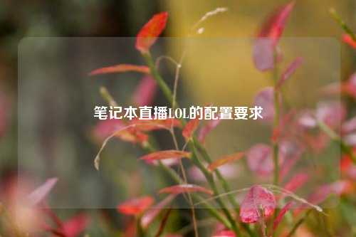 笔记本直播LOL的配置要求