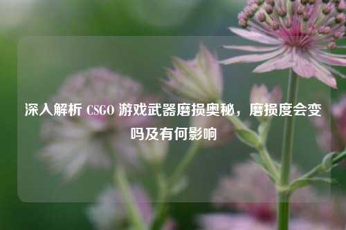 深入解析 CSGO 游戏武器磨损奥秘,磨损度会变吗及有何影响