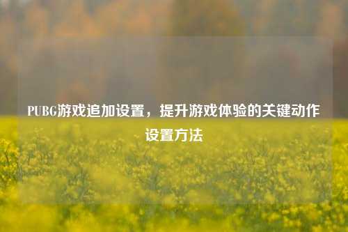 PUBG游戏追加设置，提升游戏体验的关键动作设置方法