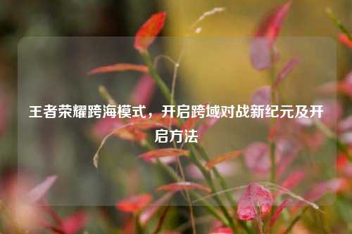 王者荣耀跨海模式,开启跨域对战新纪元及开启方法