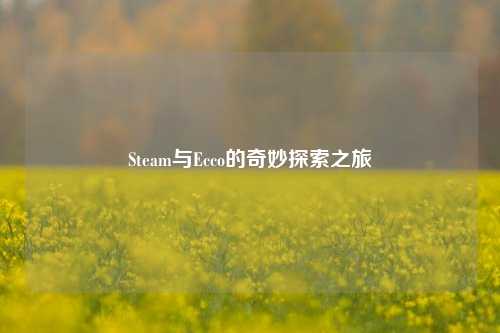 Steam与Ecco的奇妙探索之旅