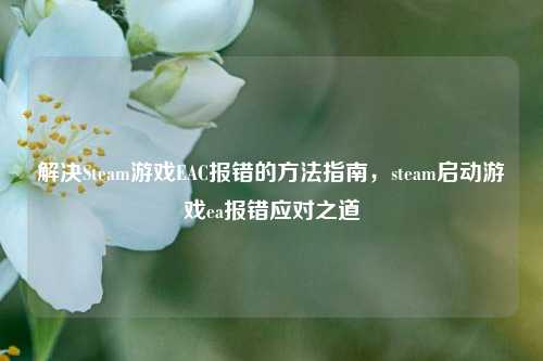 解决Steam游戏EAC报错的方法指南,steam启动游戏ea报错应对之道