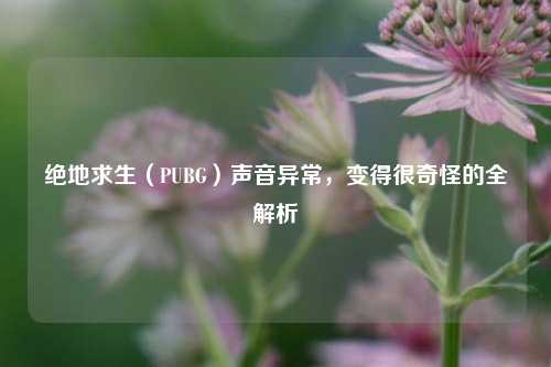绝地求生(PUBG)声音异常,变得很奇怪的全解析