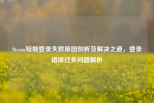 Steam短期登录失败原因剖析及解决之道，登录错误过多问题解析