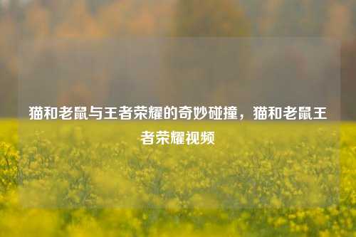 猫和老鼠与王者荣耀的奇妙碰撞，猫和老鼠王者荣耀视频
